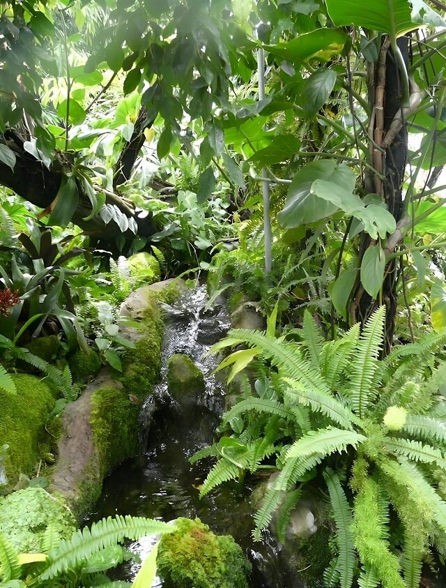 Biosfera, Akwarium w Genui