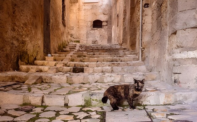 Ulice miasta Sassi di Matera