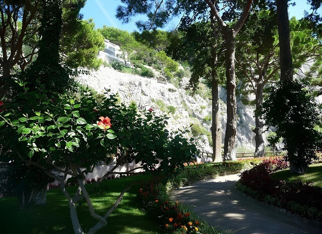 Augustus Gardens