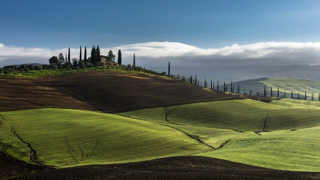 Chianti