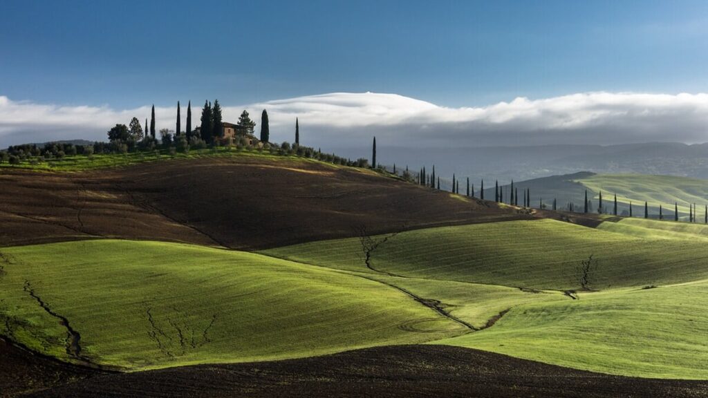 Chianti