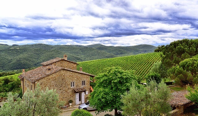 Winiarnia Montemaggio