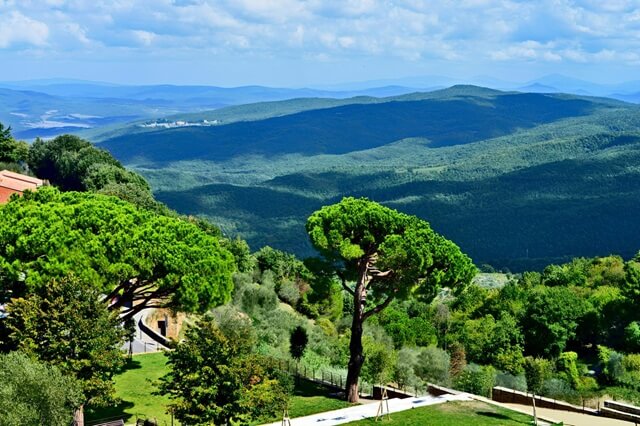 Montalcino